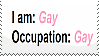 occupation gay